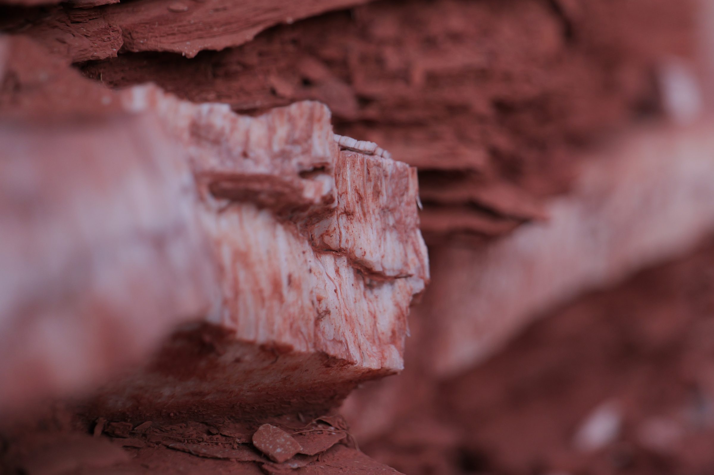 Detalle de capas de roca roja erosionada con una franja blanca.