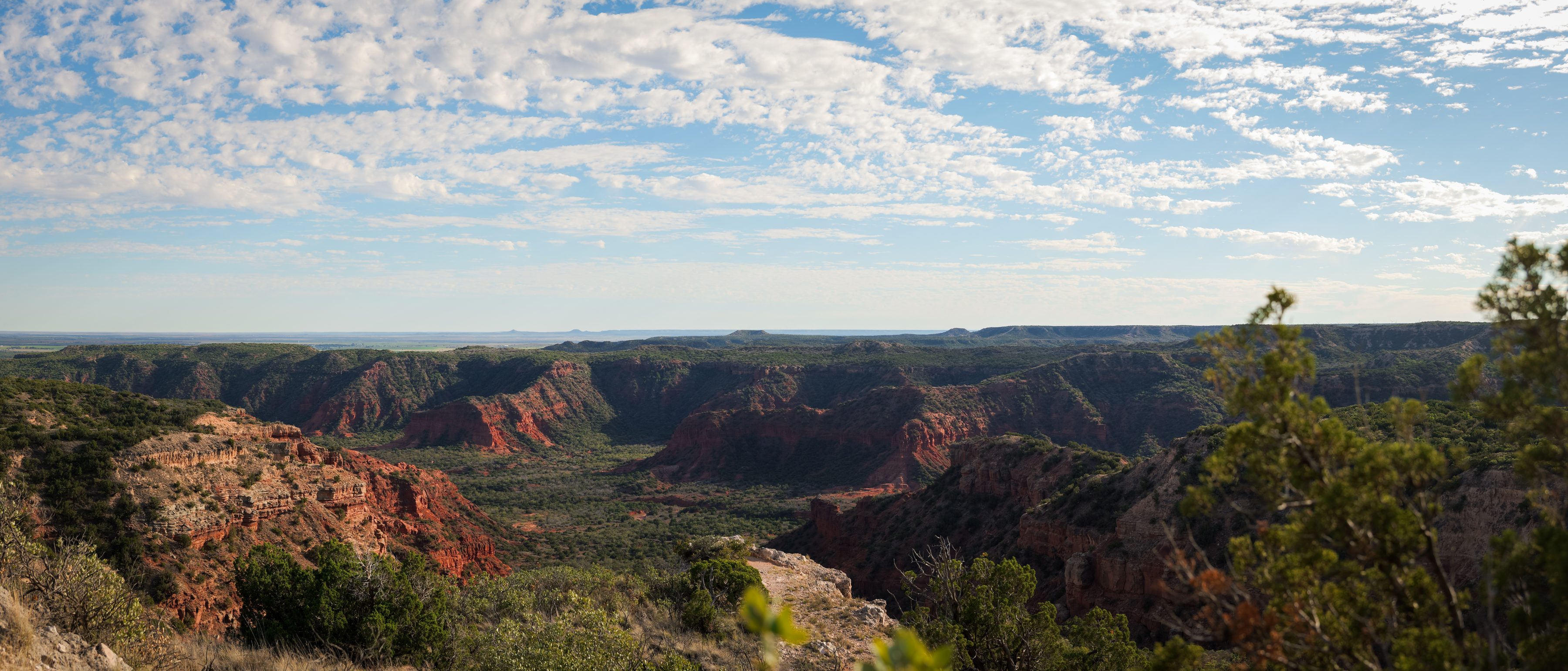 Vista panorámica de los cañones rojos de Caprock Canyons bajo un cielo con nubes finas, con árboles y arbustos en primer plano.